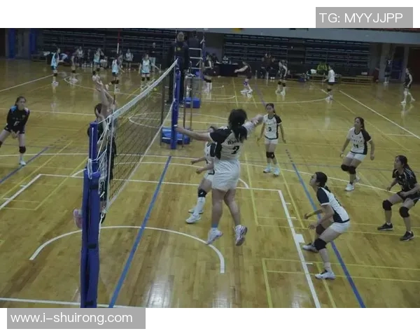 重庆排球队的默契配合与战术探讨聚焦排球的团队精神与协作能力